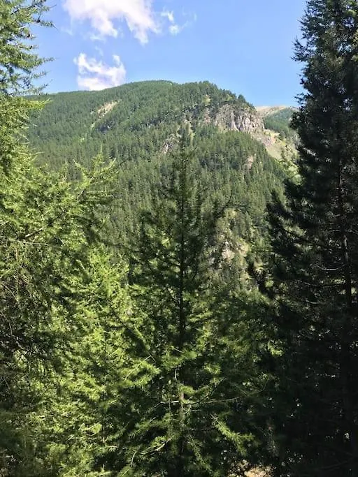Les Orres Appartement Dans Le Hameau Du Melezet Appartamento